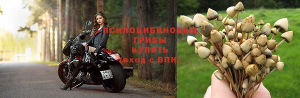 альфа пвп Приозерск