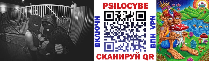 Псилоцибиновые грибы Psilocybine cubensis  где купить наркотик  Шадринск 